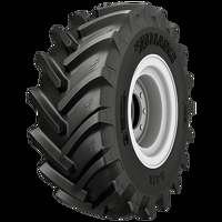 Foto pneumatico: ALLIANCE, 378 AGRISTAR XL 710/75 R4242 178A8 Estive