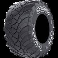 Foto pneumatico: ASCENSO, FTR 170 STEEL-BELTED 560/45 R22.522.5 152D Estive