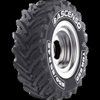 Foto pneumatico: ASCENSO, TDR 650 440/65 R2424 135D Estive