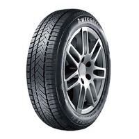 Foto pneumatico: AUTOGREEN, WINTER-MAX A1 WL5 XL BSW M+S 3PMSF 255/40 R1919 100V Invernali
