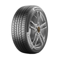 Foto pneumatico: CONTINENTAL, TS870P 225/55 R1616 99V Invernali