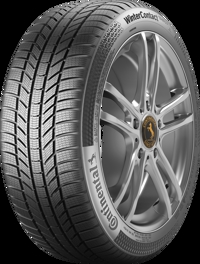 Foto pneumatico: CONTINENTAL, WinterContact TS 870P 225/55 R1616 95H Invernali