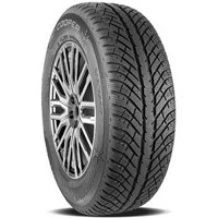 Foto pneumatico: COOPER, Discoverer Winter 205/55 R1616 91H Invernali