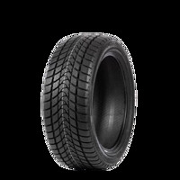 Foto pneumatico: DELINTE, WINTER WD1 M+S 3PMSF 195/60 R1515 88H Invernali
