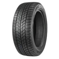 Foto pneumatico: DOUBLESTAR, WINTERKING DW09 XL BSW M+S 3PMSF 215/45 R1717 91T Invernali
