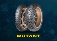 Foto pneumatico: DUNLOP, M+S MUTANT 150/60 R1717 66W Estive