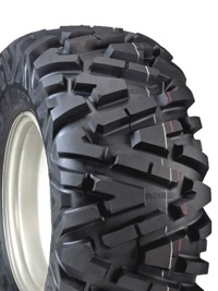Foto pneumatico: DURO, POWER GRIP DI2025 25/10 R1212 55N Estive