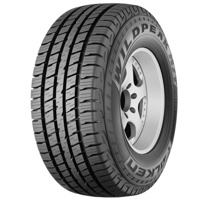 Foto pneumatico: FALKEN, WILDP.WP/HT01A 225/60 R1717 99T Estive