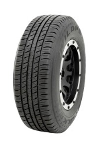 Foto pneumatico: FALKEN, WILDPEAK H/T01A 225/60 R1717 99T Estive