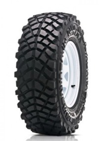 Foto pneumatico: FEDIMA, EXTREME EVOLUTION 195/80 R1515 100Q Estive