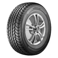 Foto pneumatico: FORTUNE, FSR-306 XL MFS OWL M+S 265/65 R1717 116T Estive