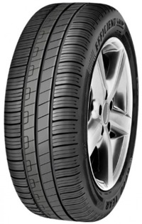 Foto pneumatico: GOODYEAR, EFFICIENTGRIP PERFORMANCE (FIAT) 205/55 R1616 91V Estive