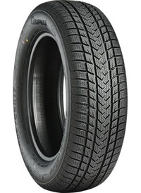 Foto pneumatico: GRIPMAX, SUREGRIP eWINTER XL 205/45 R1717 88V Invernali