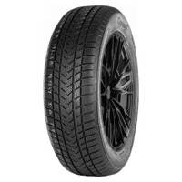 Foto pneumatico: GRIPMAX, SUREGRIP EWINTER XL BSW M+S 3PMSF 225/50 R1717 98V Invernali