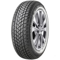 Foto pneumatico: GT Radial, WINTERPRO2 EVO 205/60 R1616 92H Invernali