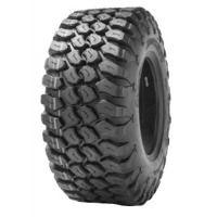 Foto pneumatico: JOURNEY, P3139 25/10 R1212 54M Estive