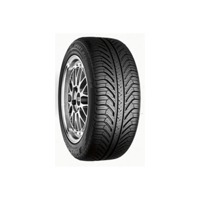 Foto pneumatico: MICHELIN, PILOT SPORT A/S PLUS 255/40 R2020 101V Estive