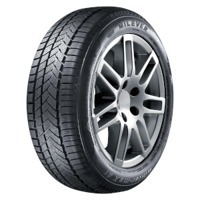 Foto pneumatico: MILEVER, WINTER-MAX A1 MW255 205/55 R1616 91H Invernali