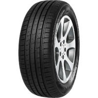 Foto pneumatico: MINERVA, F209 XL 225/55 R1616 99W Estive