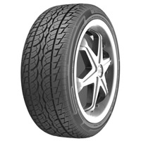 Foto pneumatico: NANKANG, SP-7 255/30 R2222 95V Estive