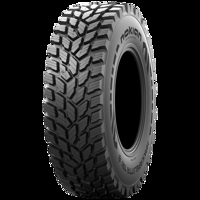 Foto pneumatico: NOKIAN, HAKKAPELIITTA TRI M+S 540/65 R3030 156D Estive