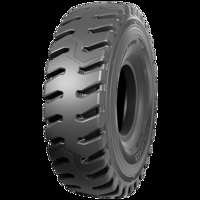 Foto pneumatico: NOKIAN, HTS G2 E4 28PR 14/ -2424 188A5 Estive