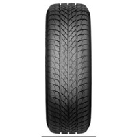 Foto pneumatico: PAXARO, PAXARO INVERNO 225/45 R1818 95V Invernali