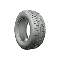 Foto pneumatico: PETLAS, SNOWMASTER W651 195/45 R1616 84H Invernali