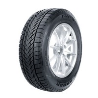 Foto pneumatico: RADAR, RW 5 XL 235/65 R1717 108V Invernali