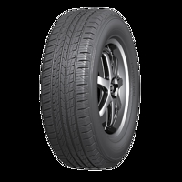 Foto pneumatico: ROADX, RX QUEST H/T02 MFS BSW 225/60 R1717 99H Estive