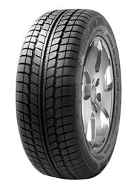 Foto pneumatico: FORTUNA, WINTER 205/55 R1616 91H Invernali