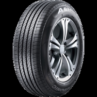 Foto pneumatico: APTANY, RP203 195/55 R1515 85V Estive