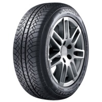 Foto pneumatico: SUNNY, WINTERMAX NW611 M+S 3PMSF 195/65 R1515 91T Invernali