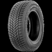 Foto pneumatico: VREDESTEIN, WINTRAC ICE XL M+S STUDDED M+S 3PMSF 225/55 R1717 101T Invernali