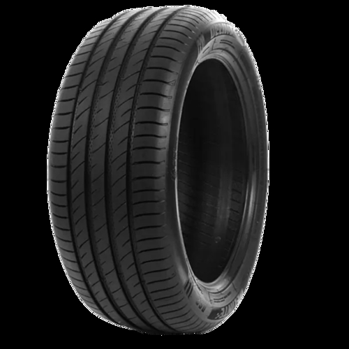 Foto pneumatico: DELINTE, DS2 XL BSW 225/50 R1717 98W Estive