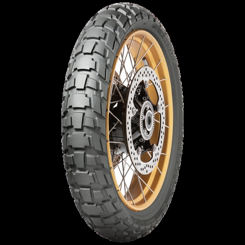 Foto pneumatico: DUNLOP, TRAILMAX RAID BSW M+S 120/70 R1919 60T Estive