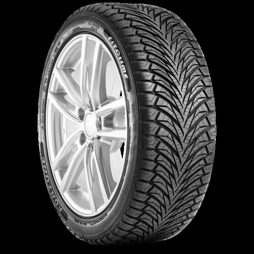 Foto pneumatico: FORTUNE, FITCLIME FSR-401 XL BSW M+S 3PMSF 235/65 R1717 108V Estive