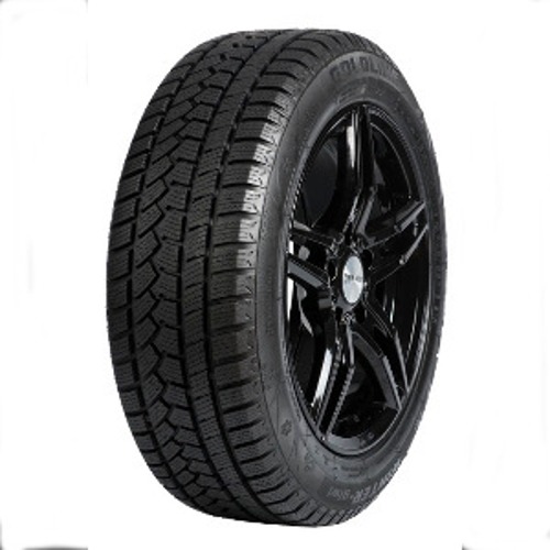 Foto pneumatico: GOLDLINE, WINTER-GLW1 M+S 3PMSF 185/65 R1515 88T Invernali