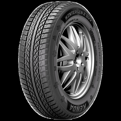 Foto pneumatico: KENDA, K504 M+S 255/50 R1919 107V Invernali