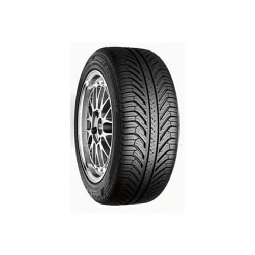 Foto pneumatico: MICHELIN, PILOT SPORT A/S PLUS 255/40 R2020 101V Estive