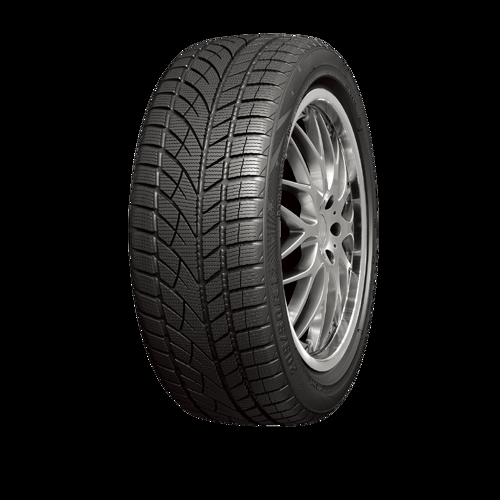 Foto pneumatico: ROADX, RX FROST WU01 XL MFS BSW M+S 3PMSF 225/55 R1616 99H Invernali